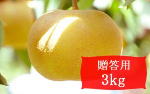 幸水【贈答用3kg(6～9個)】