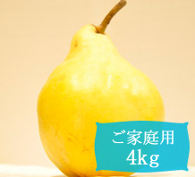 ルレクチェ【ご家庭用4kg(8～12個)】