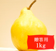 ルレクチェ【贈答用1kg(2～3個)】