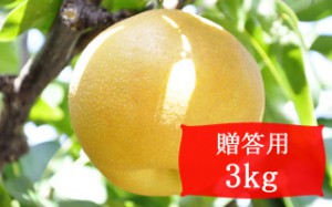 豊水【贈答用3kg(6～9個)】