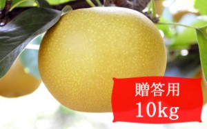 あきづき【贈答用10kg(14～24個)】