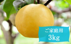 新高【ご家庭用3kg(4～5個)】