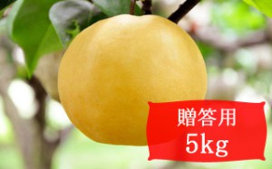 新高【贈答用5kg(6～7個)】