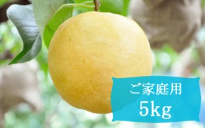 新興【ご家庭用5kg(7～9個)】