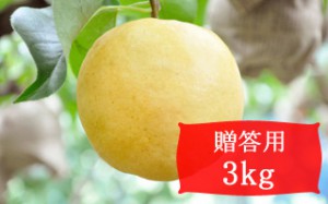 新興【贈答用3kg(4～6個)】