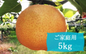 愛宕【ご家庭用5kg(5～7個)】