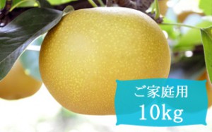 あきづき【ご家庭用10kg(14～24個)】