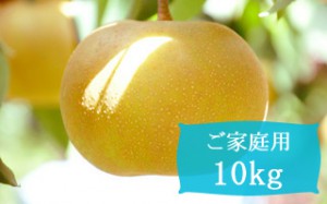 幸水【ご家庭用10kg(18～28個)】