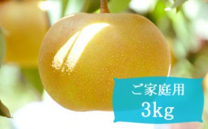 幸水【ご家庭用3kg(6～9個)】