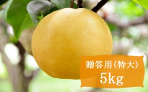 新高【贈答用特大5kg(5個)】