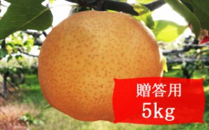 愛宕【贈答用5kg(5～6個)】