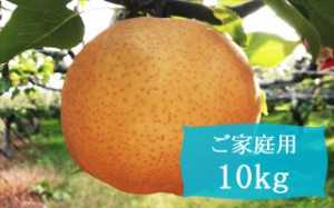 愛宕【ご家庭用10kg(10～14個)】